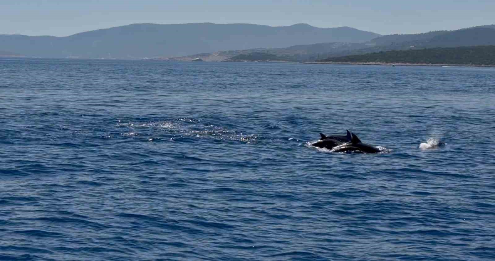 Muğla’nın Bodrum ilçesinde hayalet ağ