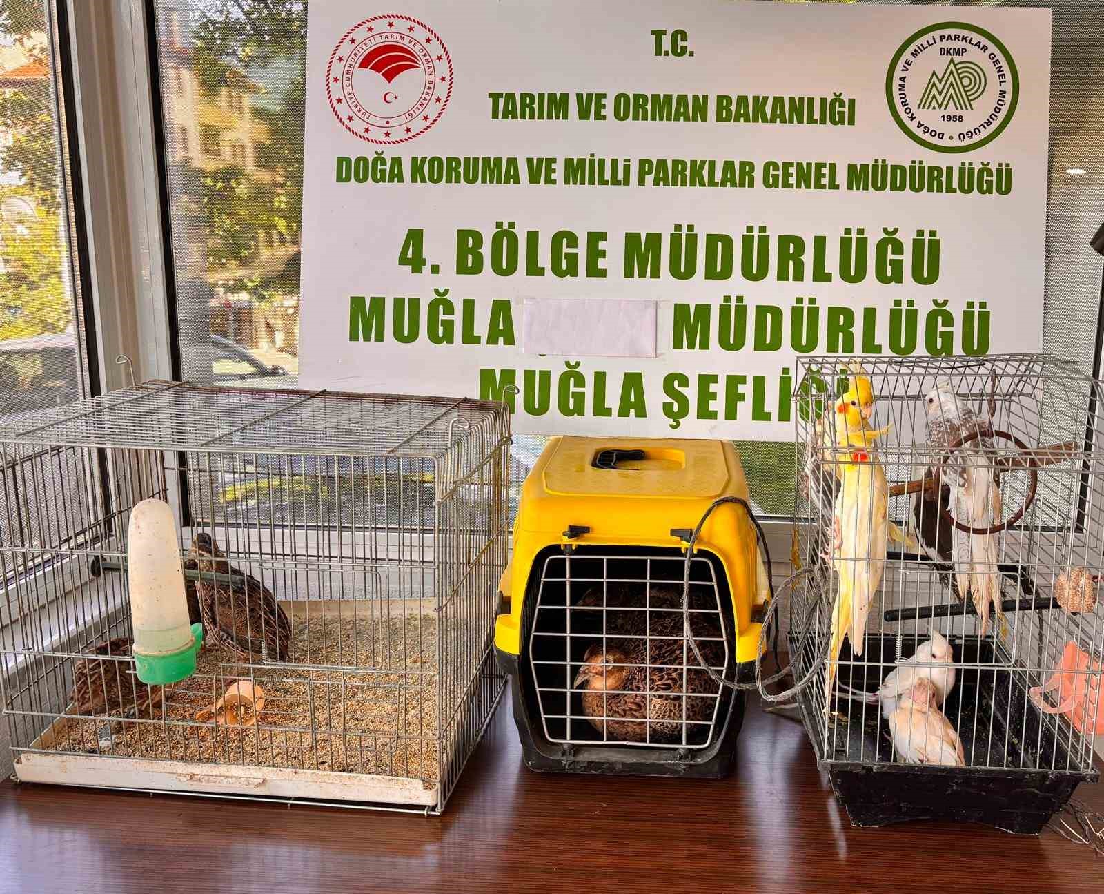Muğla’nın Ula ilçesinde, CİMER’e yapılan