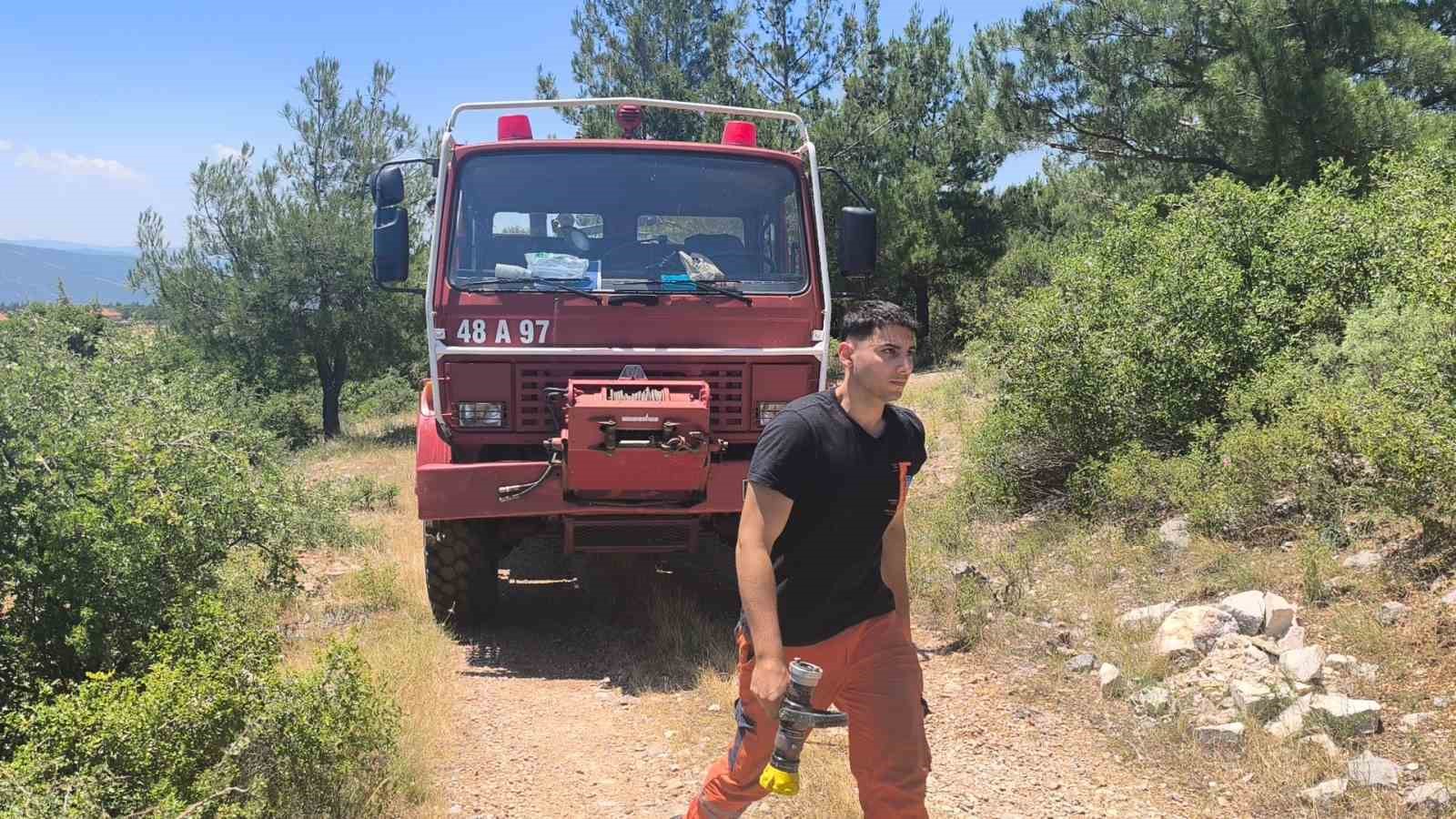 Muğla’nın Menteşe ilçesinde arı kovanlarının