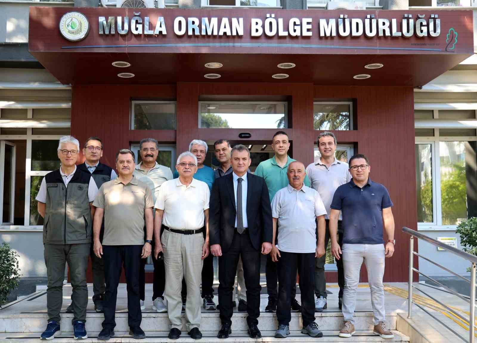 Muğla Orman Bölge Müdürlüğünde, yaz