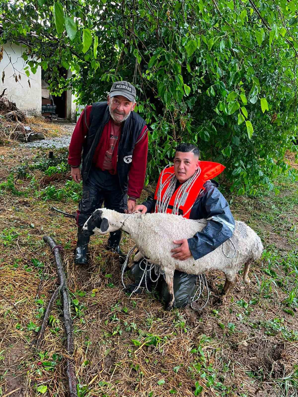 Muğla’nın Menteşe ilçesinde akşam saatlerinde